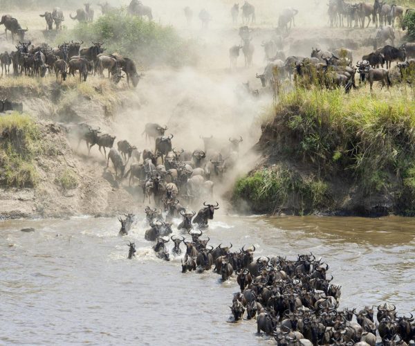Migration Sere
