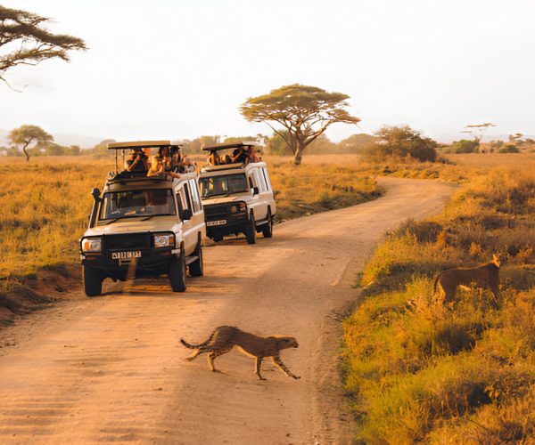 Royal Travel in Serengeti